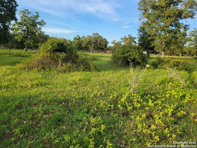 1130 Blacksmith Ln, WEIMAR, TX 78962 — photo 1