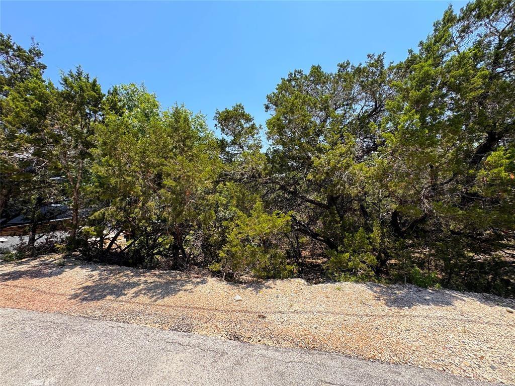 557 Dusty Saddle None, Canyon Lake, TX 78133 — photo 1