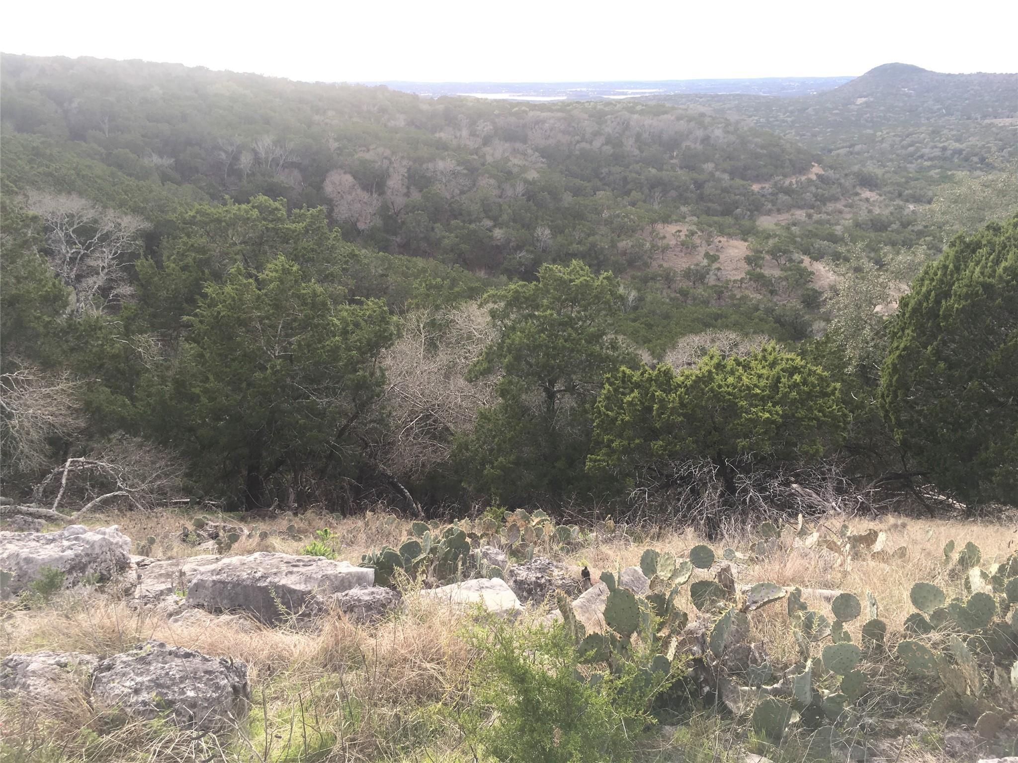 1350  Serenity Dr, Fischer, TX 78623 — photo 1