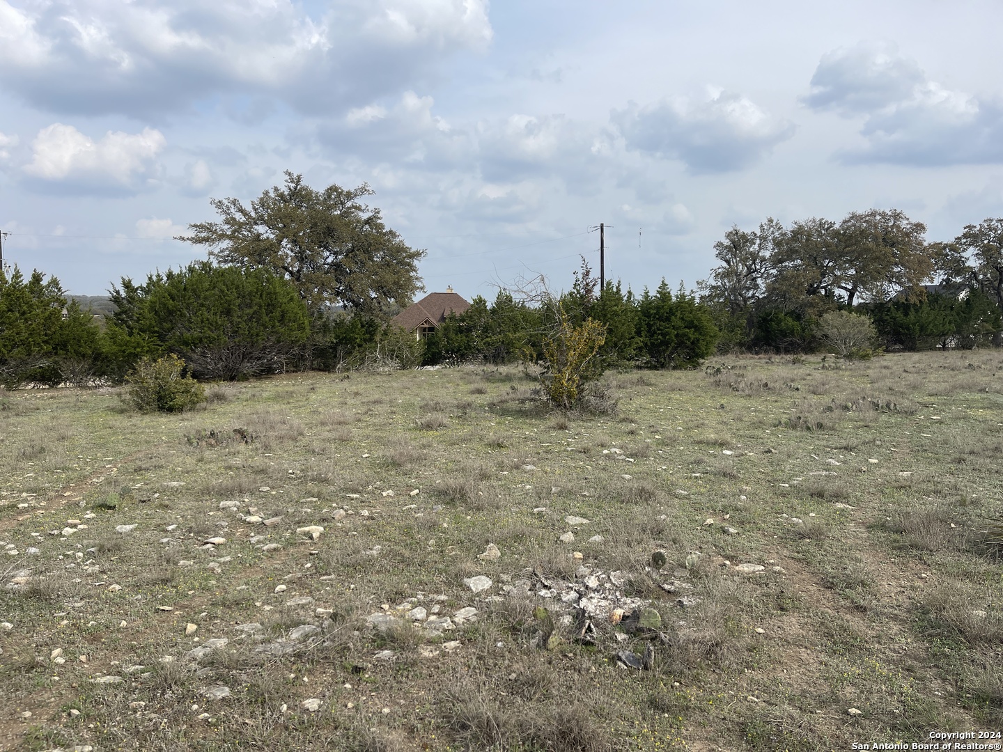 113 William Woods, Blanco, TX 78606 — photo 1