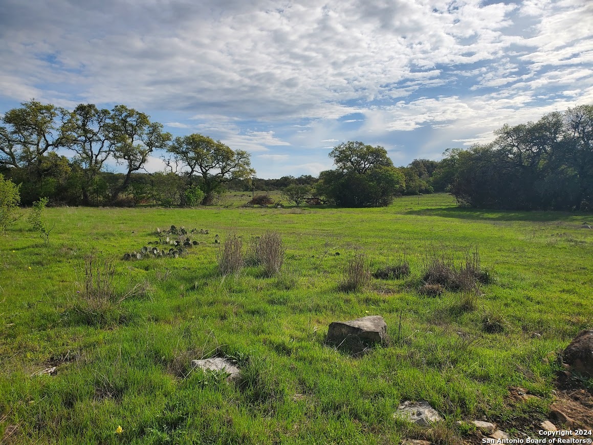 112 W Alex Jordan, Blanco, TX 78606 — photo 1