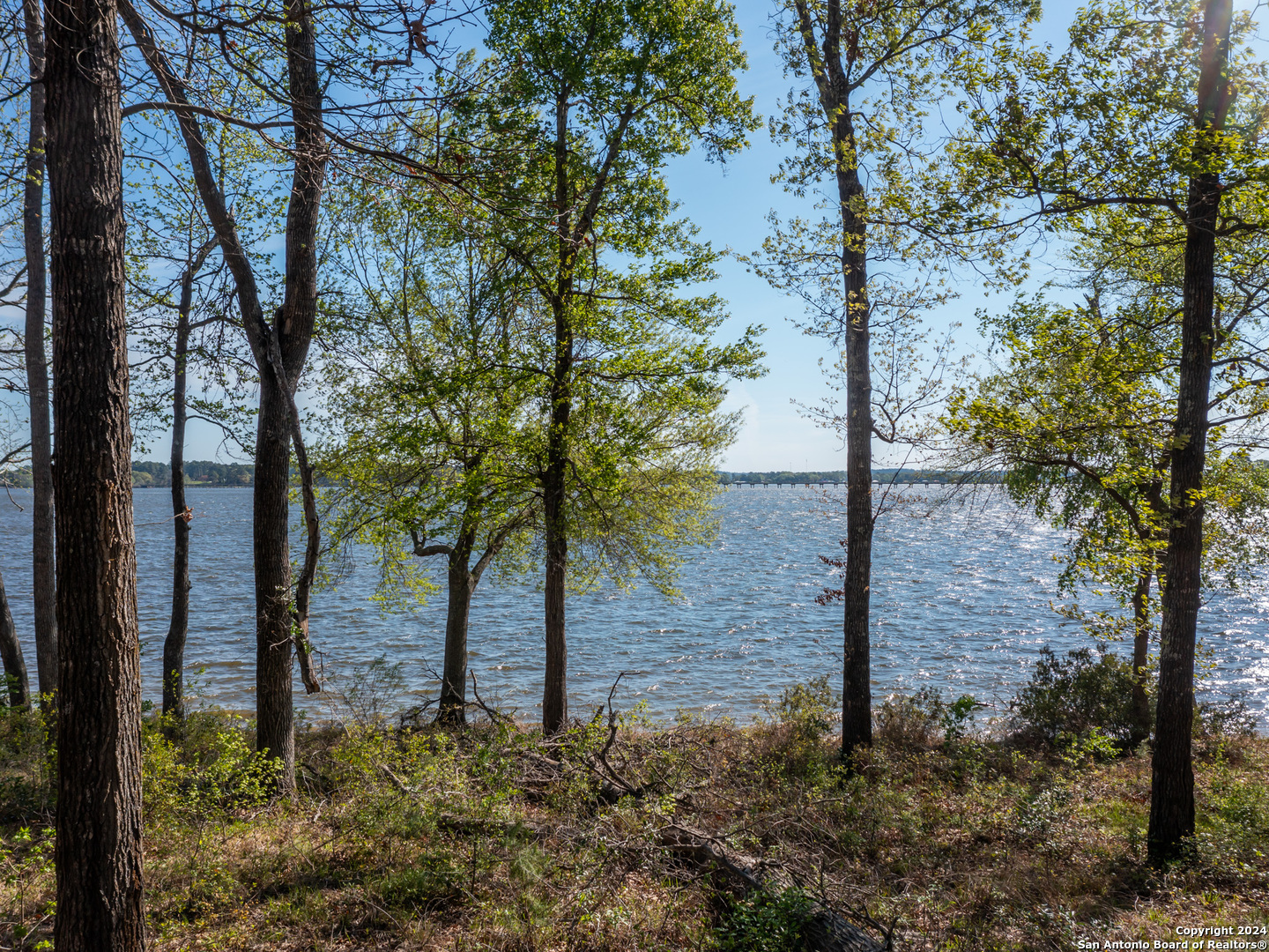 3108 Shadow Pine Drive
