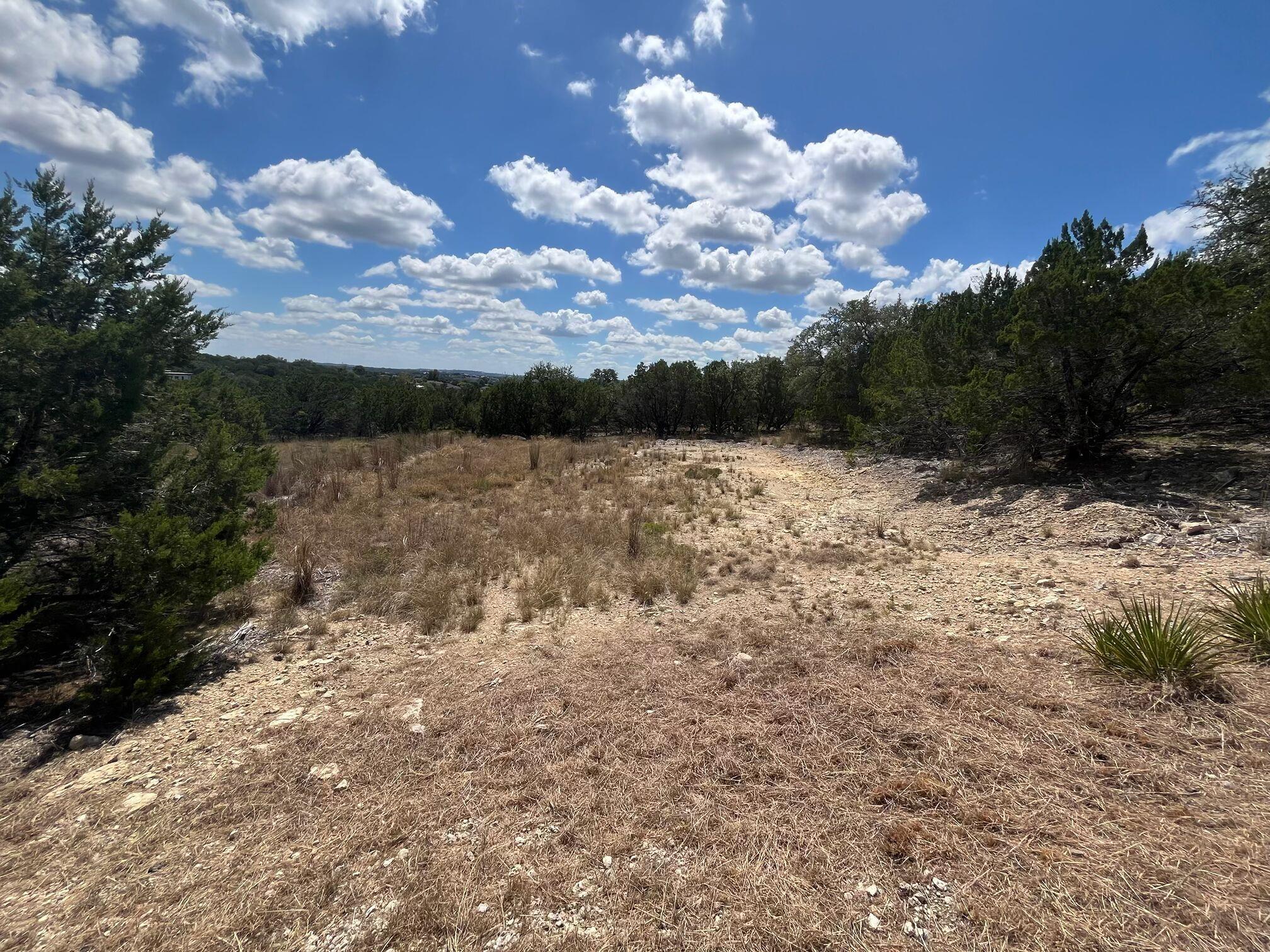 20705  Hayes Cv, Lago Vista, TX 78645 — photo 1