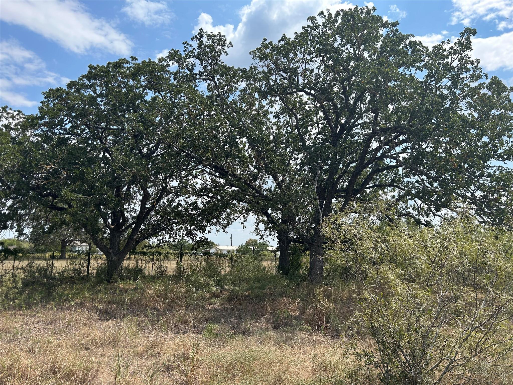 303  Walter Hoffman Rd, Cedar Creek, TX 78612 — photo 1