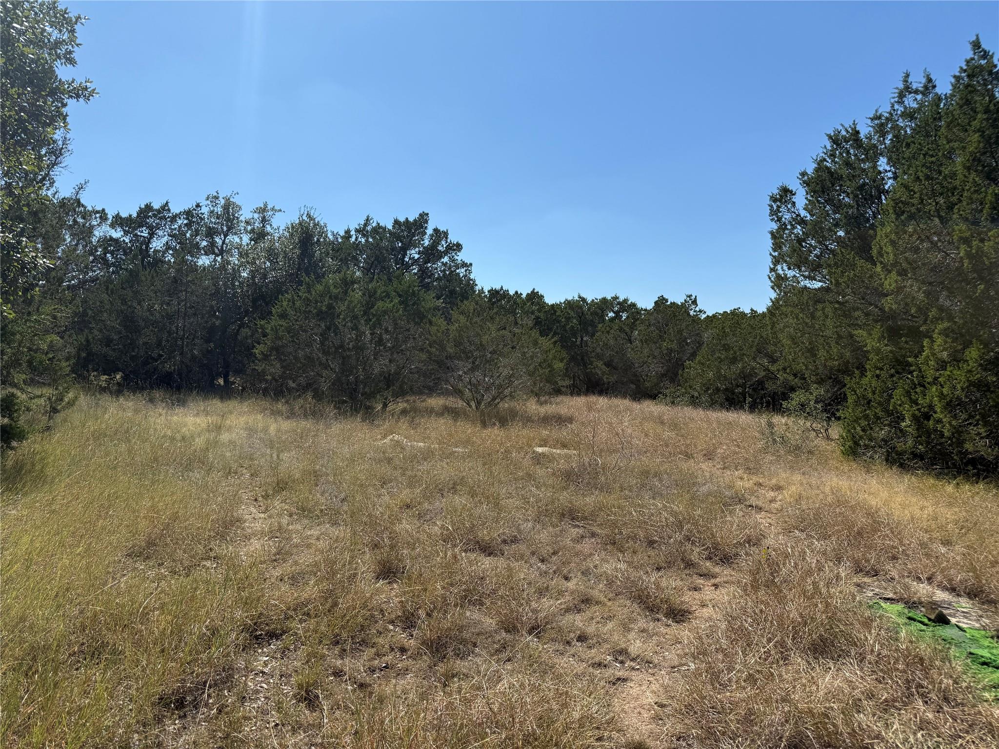 917  Roy Creek Trl, Dripping Springs, TX 78620 — photo 1
