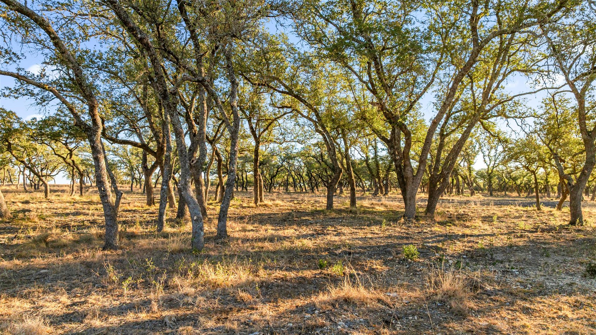 1422-12 RM 2766 None, Johnson City, TX 78636 — photo 1