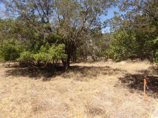 Lot 141  Pine Lane None, Cottonwood Shores, TX 78657 — photo 1