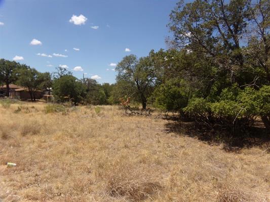 Lot 142  Pine Lane None, Cottonwood Shores, TX 78657 — photo 1