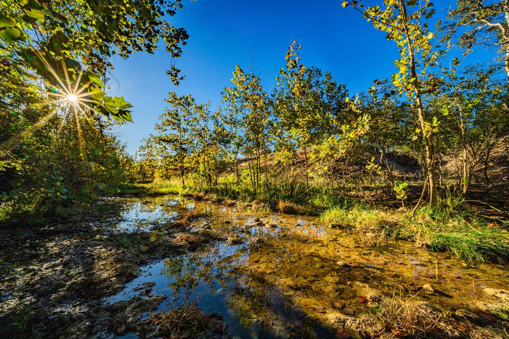 00 F-M 2843 None, Salado, TX 76571 — photo 1