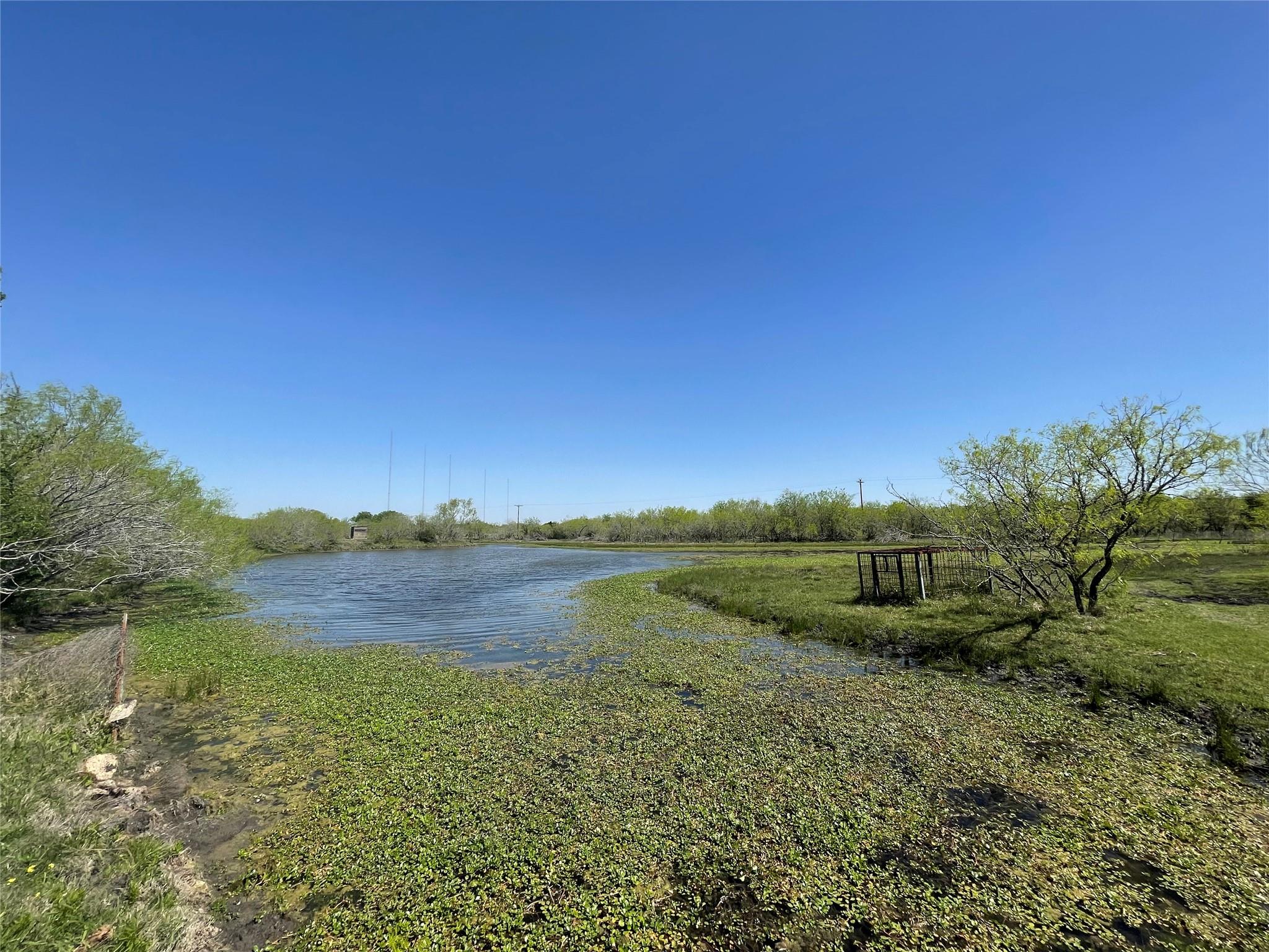 11319  Doyle Overton Rd, Del Valle, TX 78617 — photo 1
