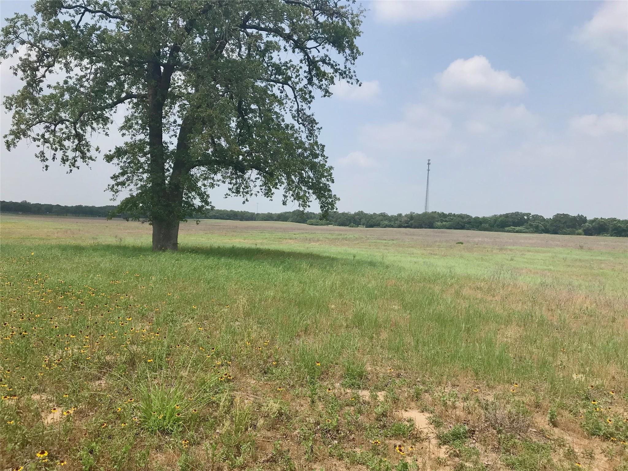 1672  Sayers Rd  #Tract 1, Bastrop, TX 78602 — photo 1