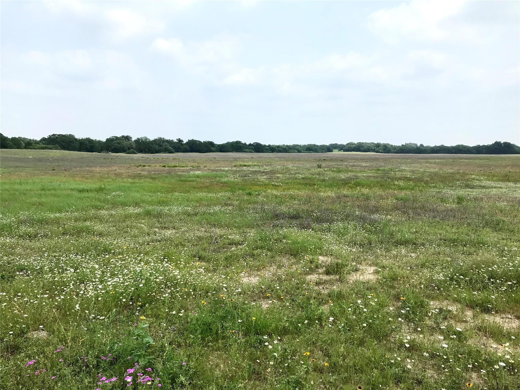 1672  Sayers Tract 2 Rd, Bastrop, TX 78602 — photo 1