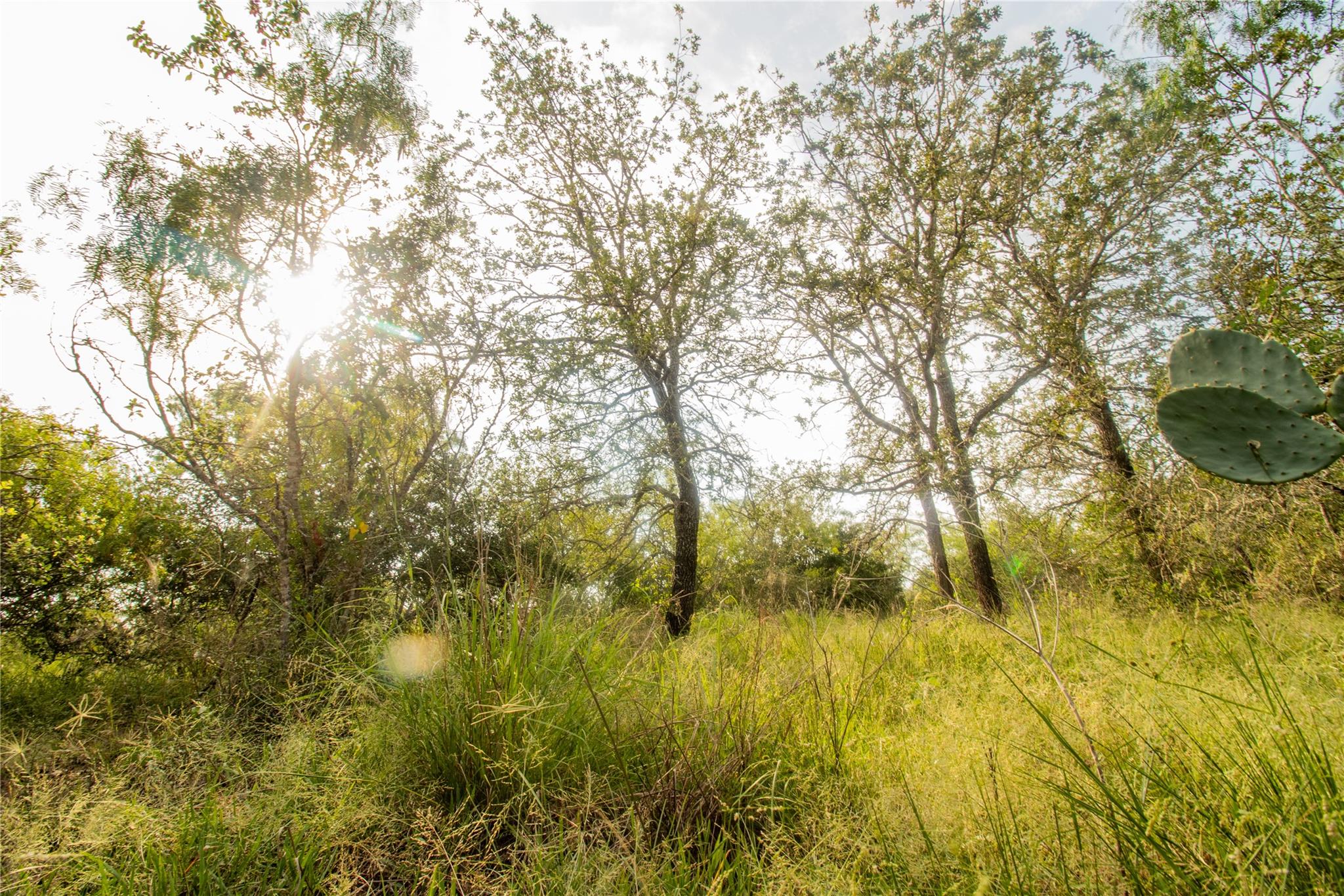 6562 Cross Rd, Seguin, TX 78155 — photo 1