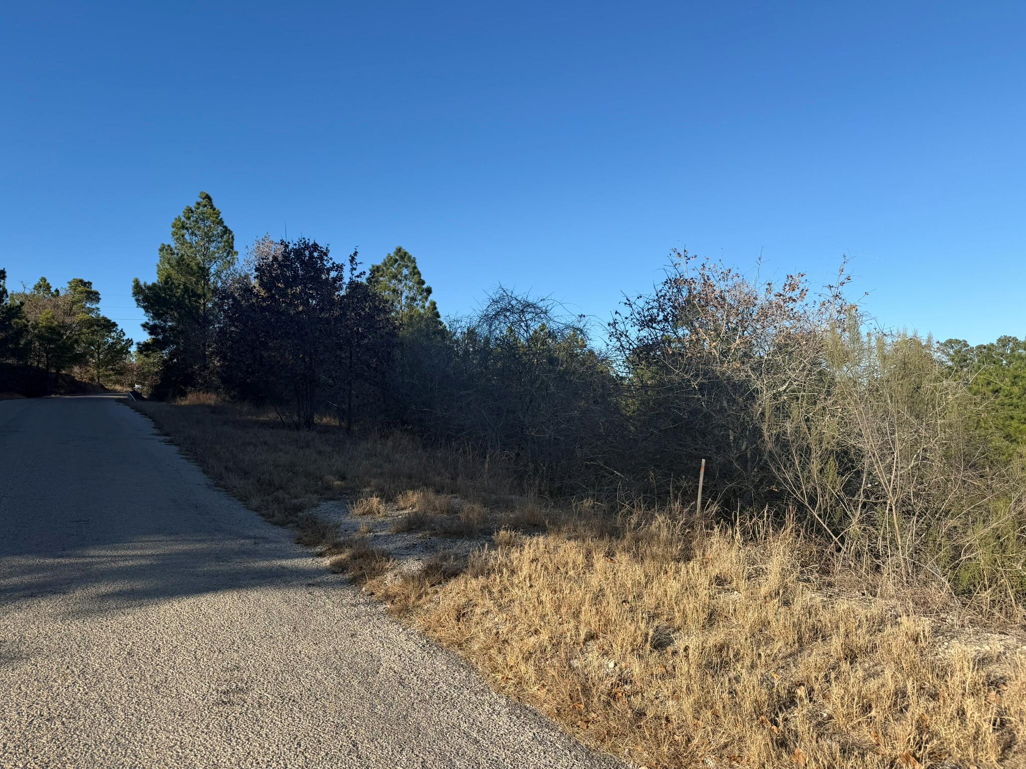Lot 858  Mamalu Dr, Bastrop, TX 78602 — photo 1