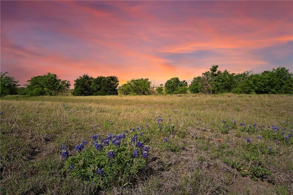 20512  Cameron Rd, Coupland, TX 78615 — photo 1