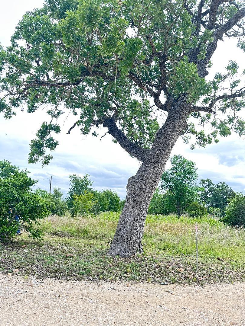 136  Wild Bird Loop, Smithville, TX 78957 — photo 1