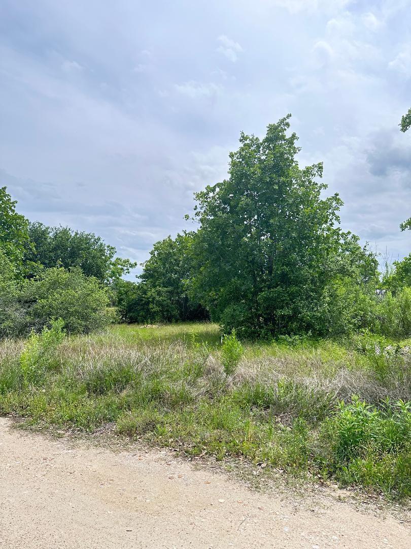 138 Wild Bird Loop, Smithville, TX 78957 — photo 1