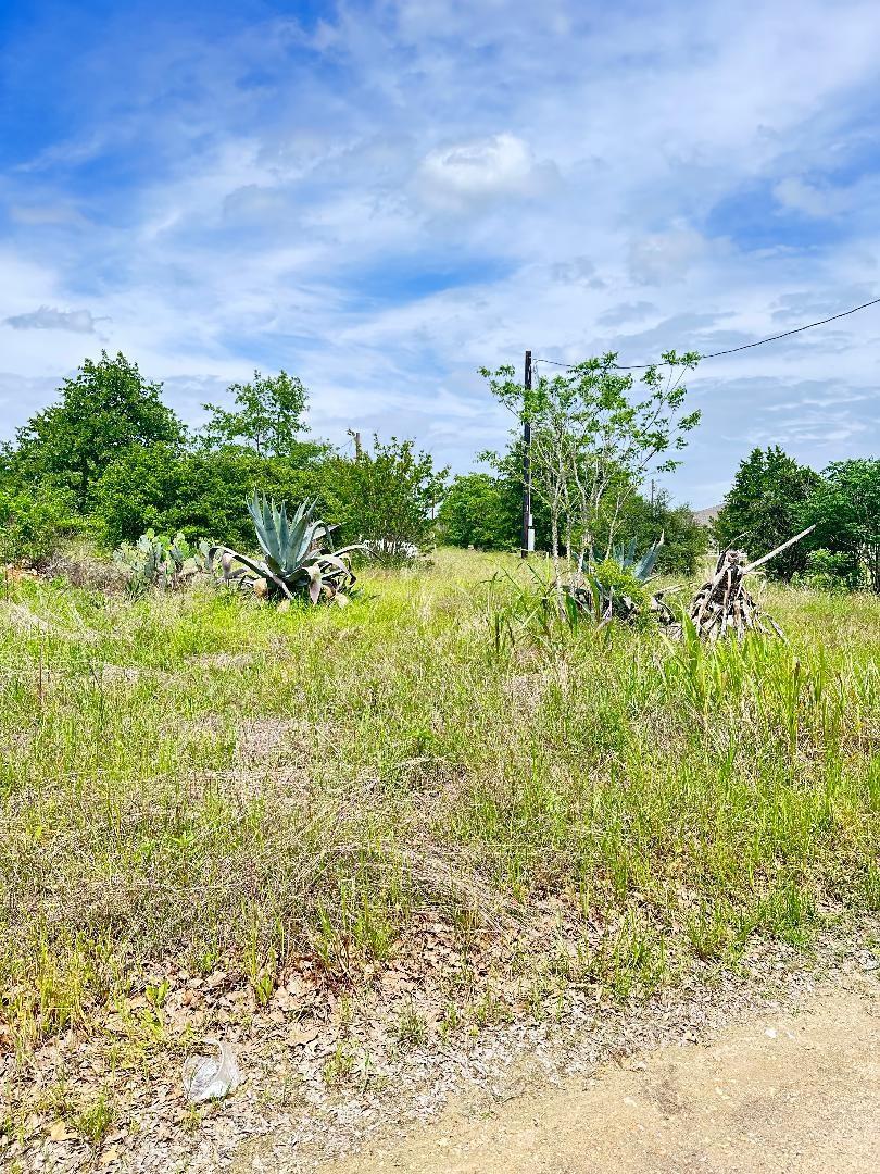 126  Wild Bird Loop, Smithville, TX 78957 — photo 1