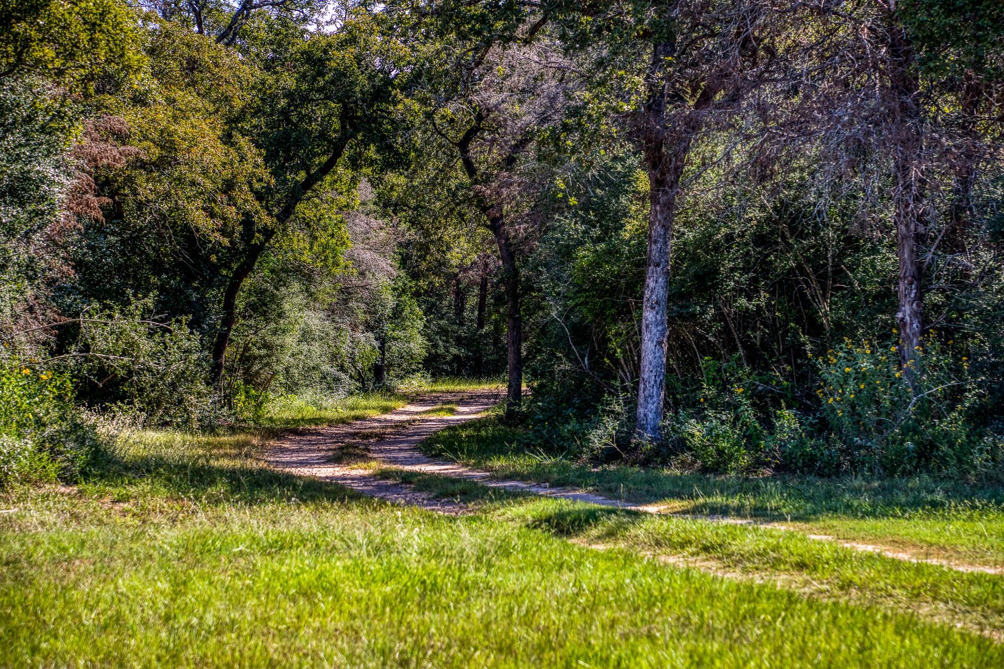 3336  County Road 326 None, Lexington, TX 78947 — photo 1