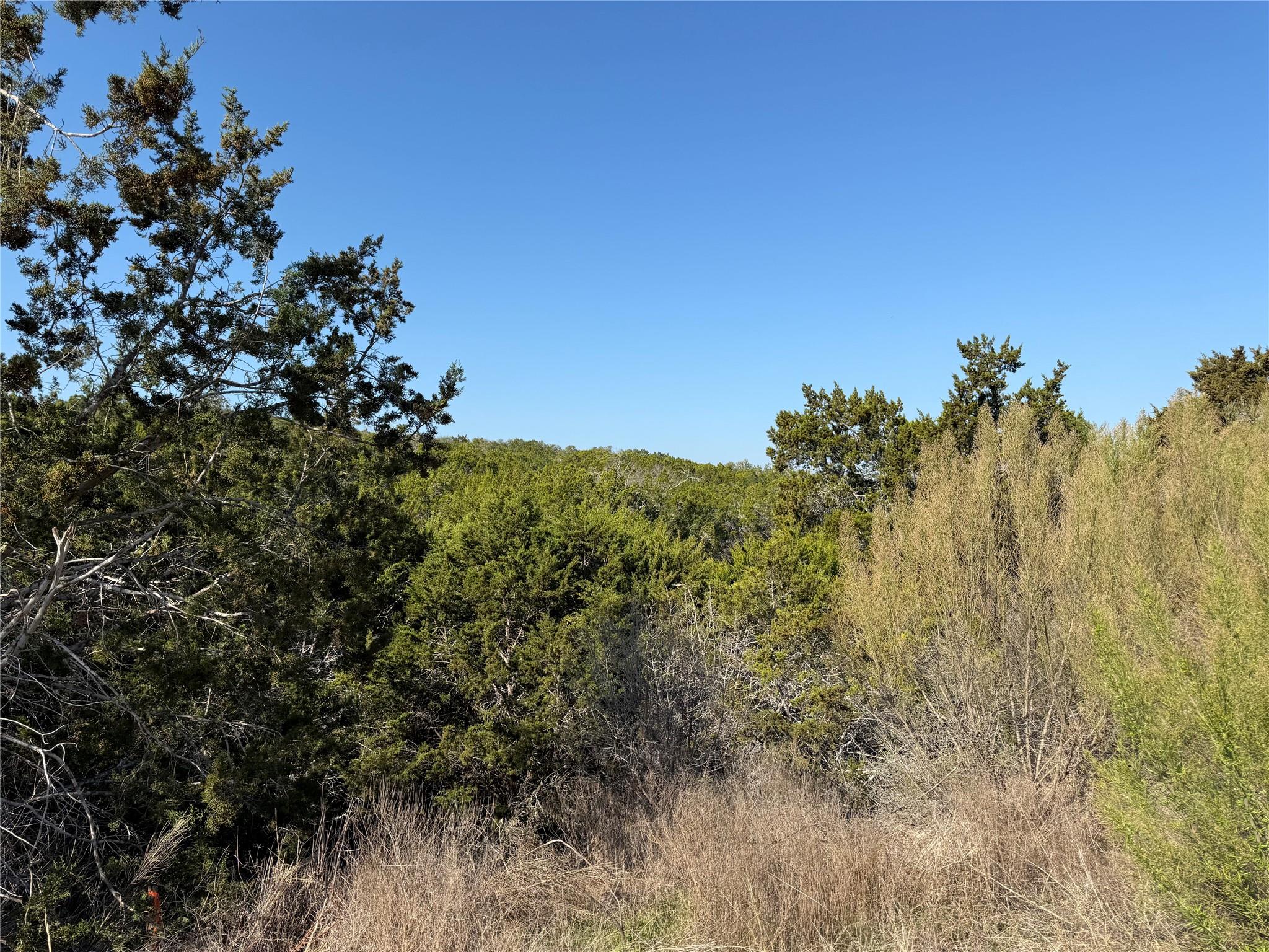 248 Kellog None, Fischer, TX 78623 — photo 1
