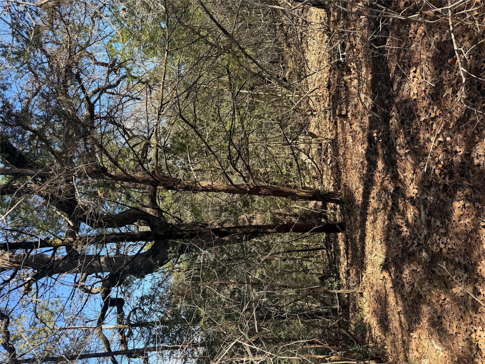 Lot 321  Keneka Ln, Bastrop, TX 78602 — photo 1