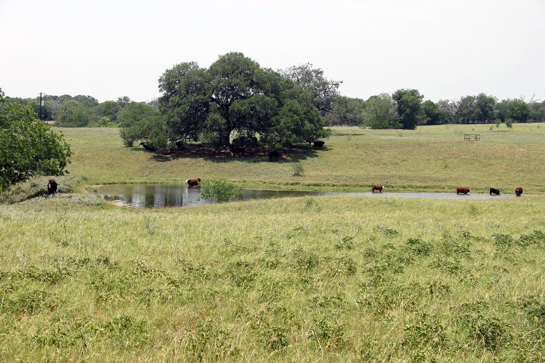 319 R C Ln, Lockhart, TX 78644 — photo 1