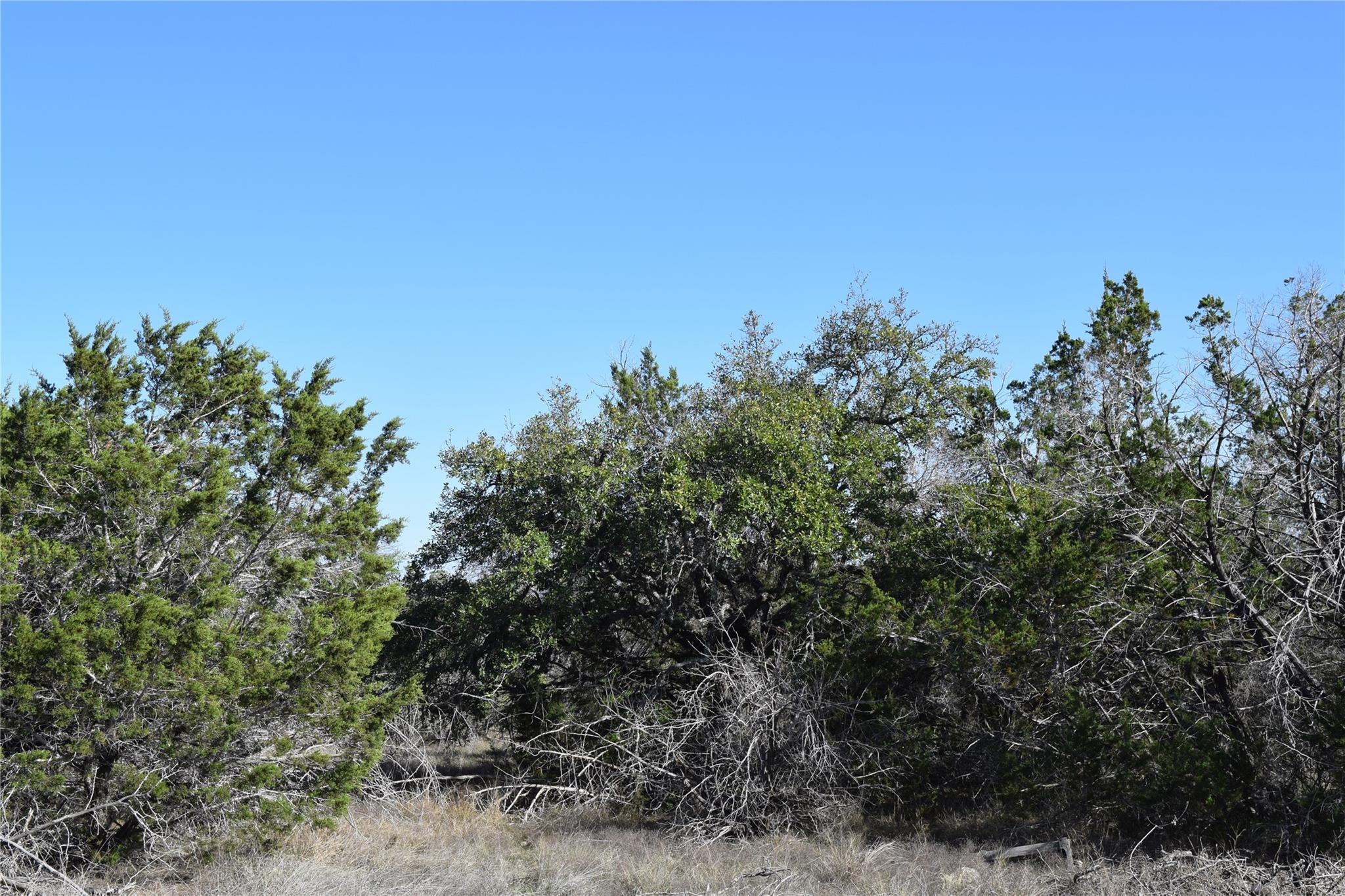 TBD  Cheyenne Trl, Wimberley, TX 78676 — photo 1