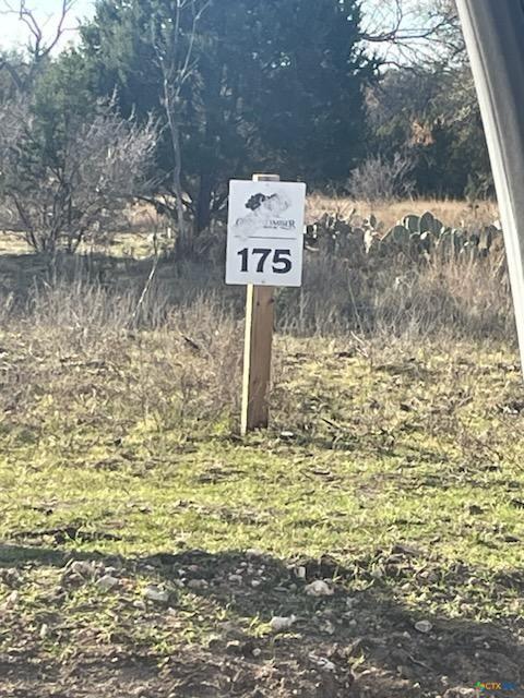 Lot 175 Heartleaf Drive None, Lampasas, TX 76550 — photo 1