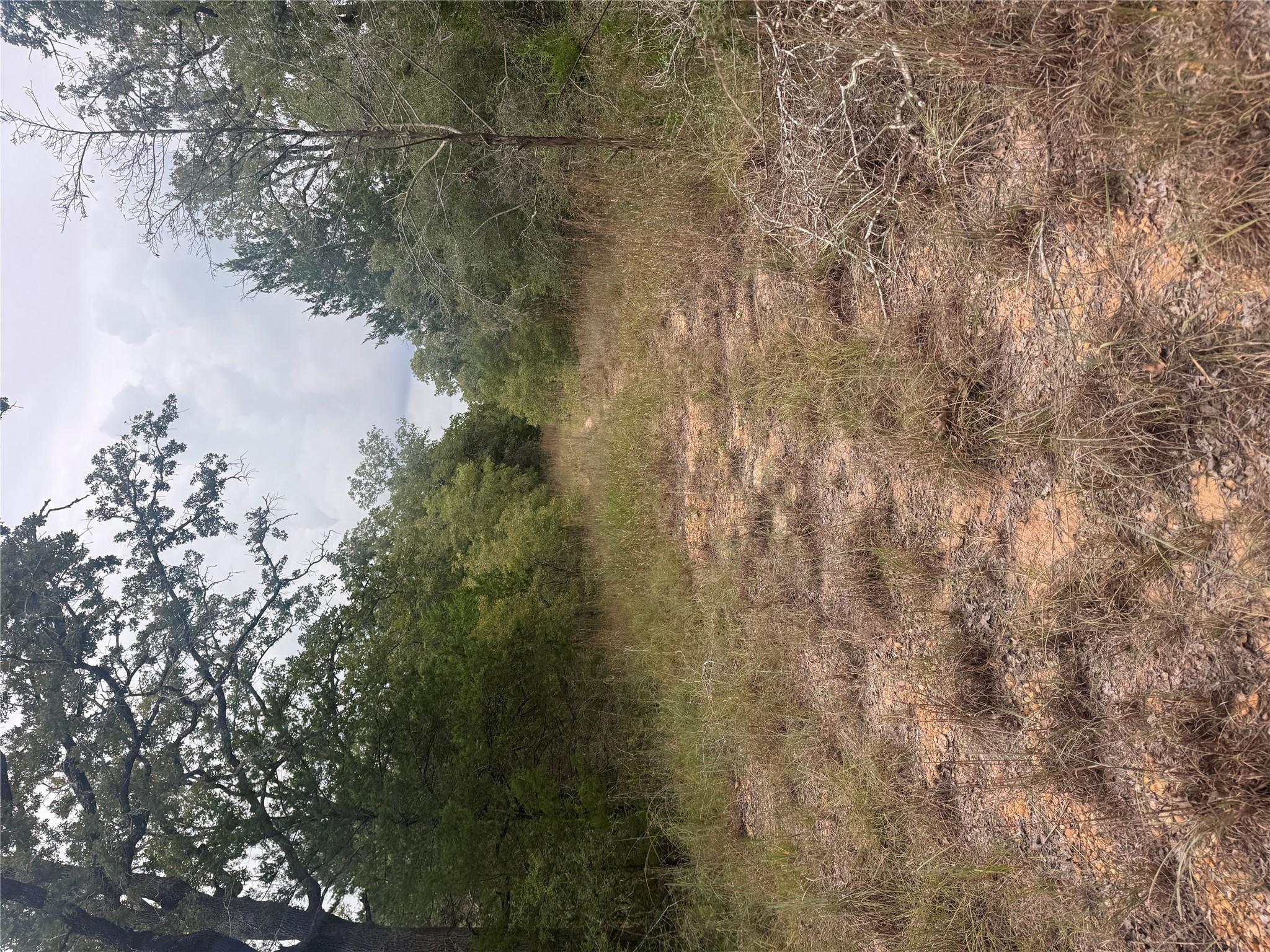 Lot 6  Spruce St, Paige, TX 78659 — photo 1