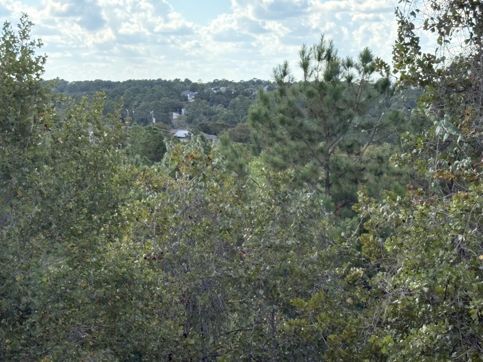 TBD Lot 35  Pinecrest Dr, Bastrop, TX 78602 — photo 1