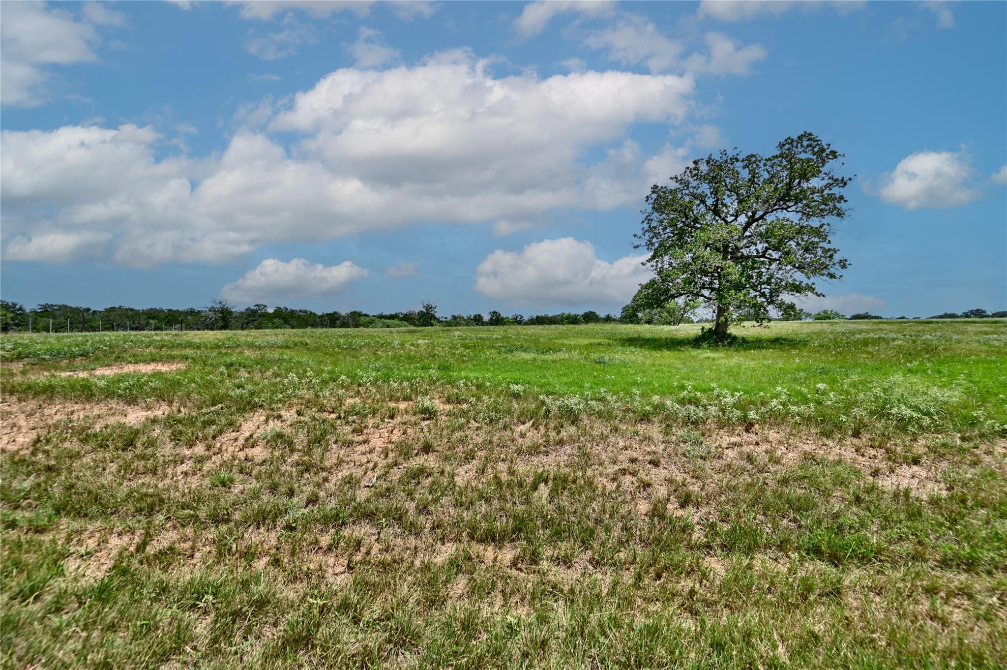 TBD 1-13 (2.0 Acres)  New Moon Ct, Red Rock, TX 78662 — photo 1