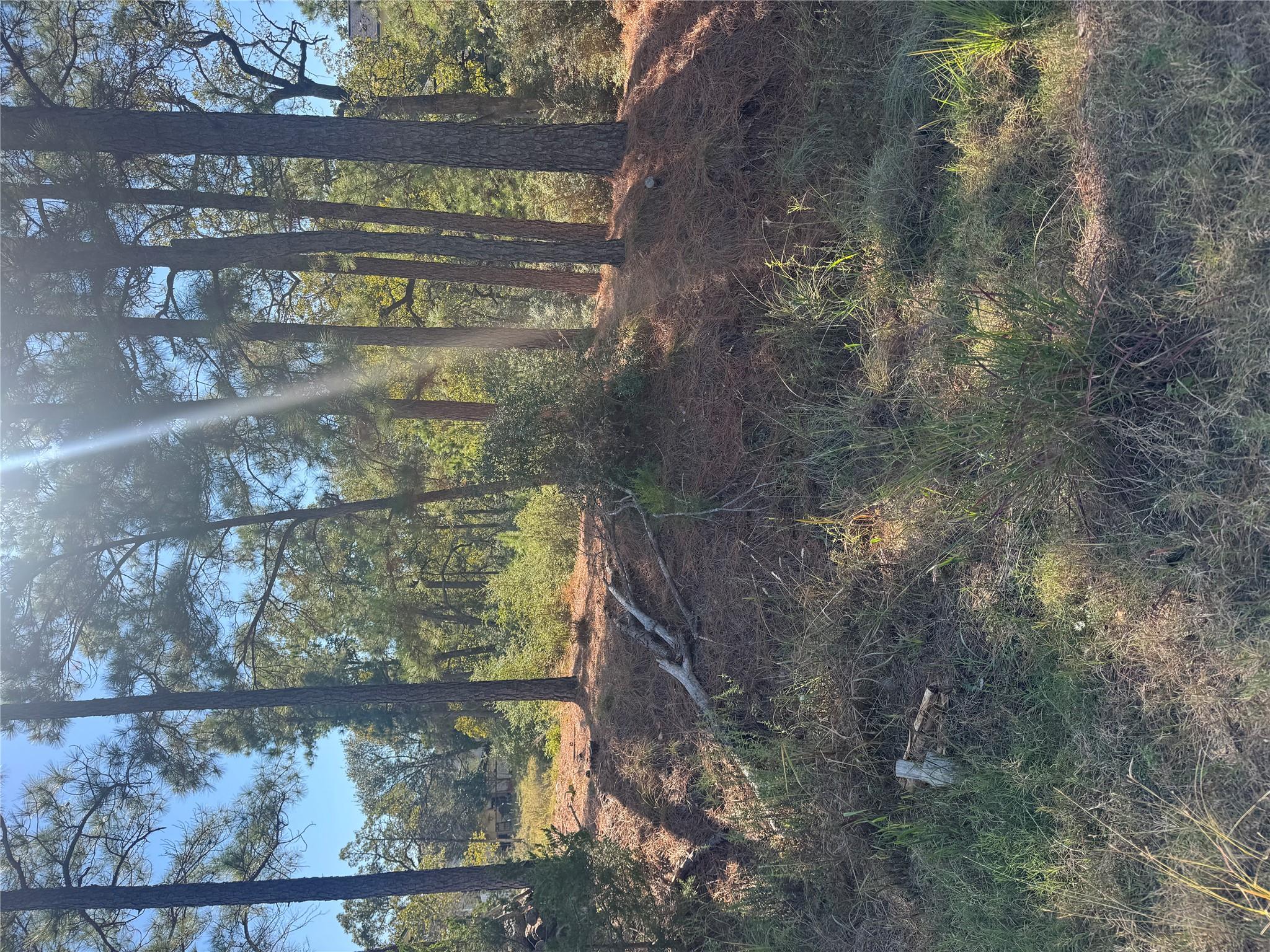 Lot 97  Kaelepulu Dr, Bastrop, TX 78602 — photo 1
