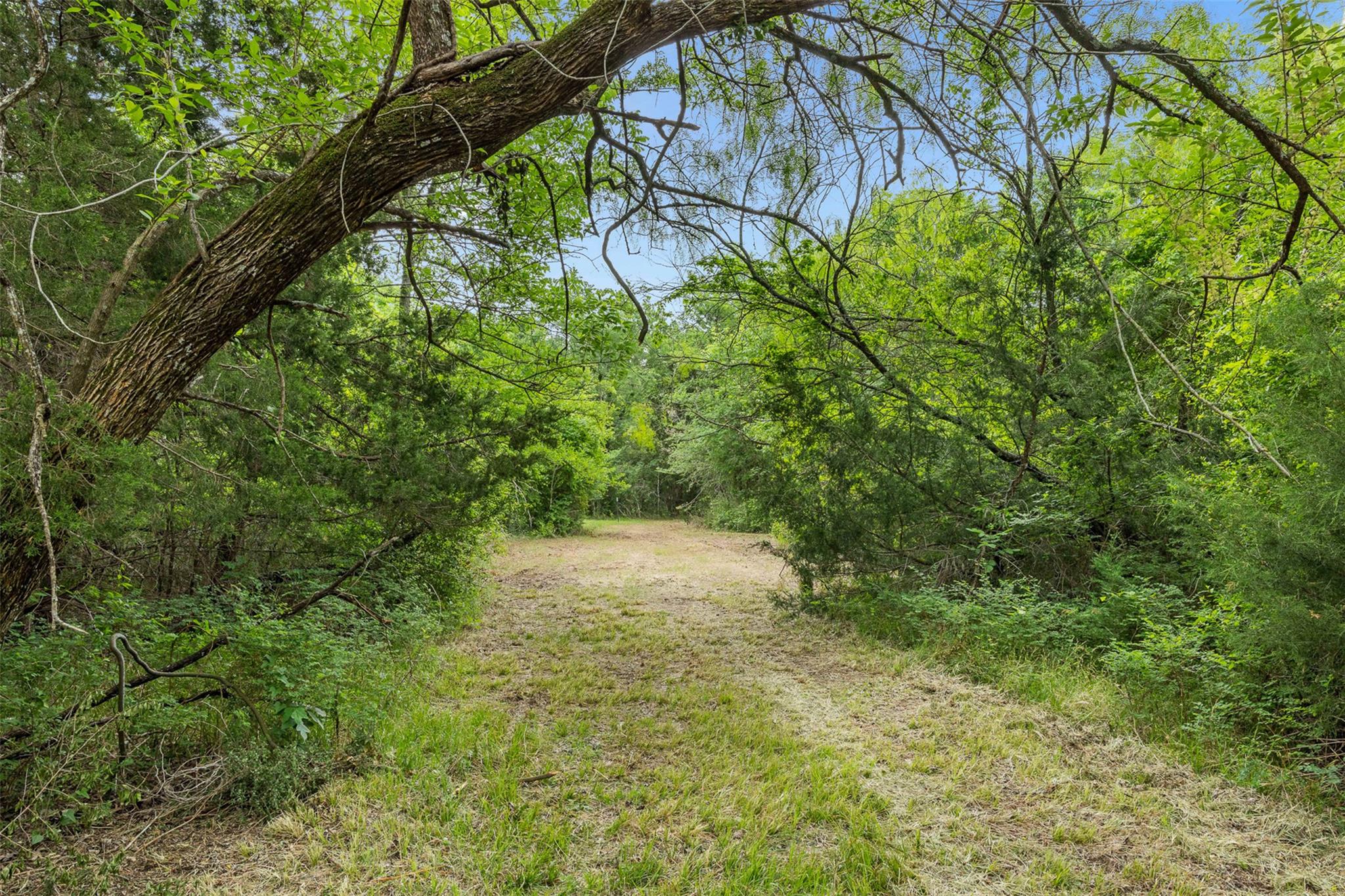 3797  County Road 328 None, Caldwell, TX 77836 — photo 1