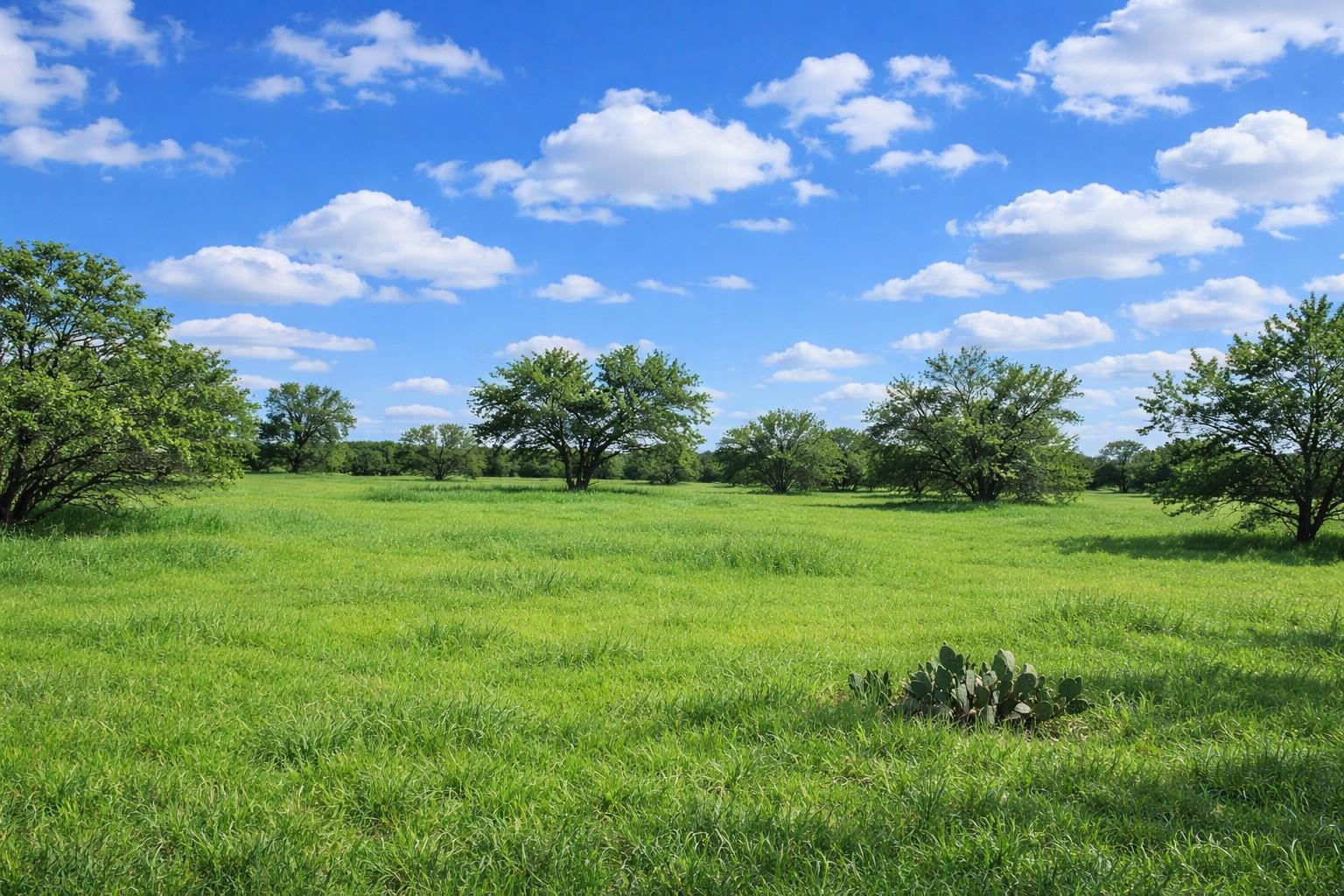 3809 Mormon Mill Rd, Marble Falls, TX 78654 — photo 1