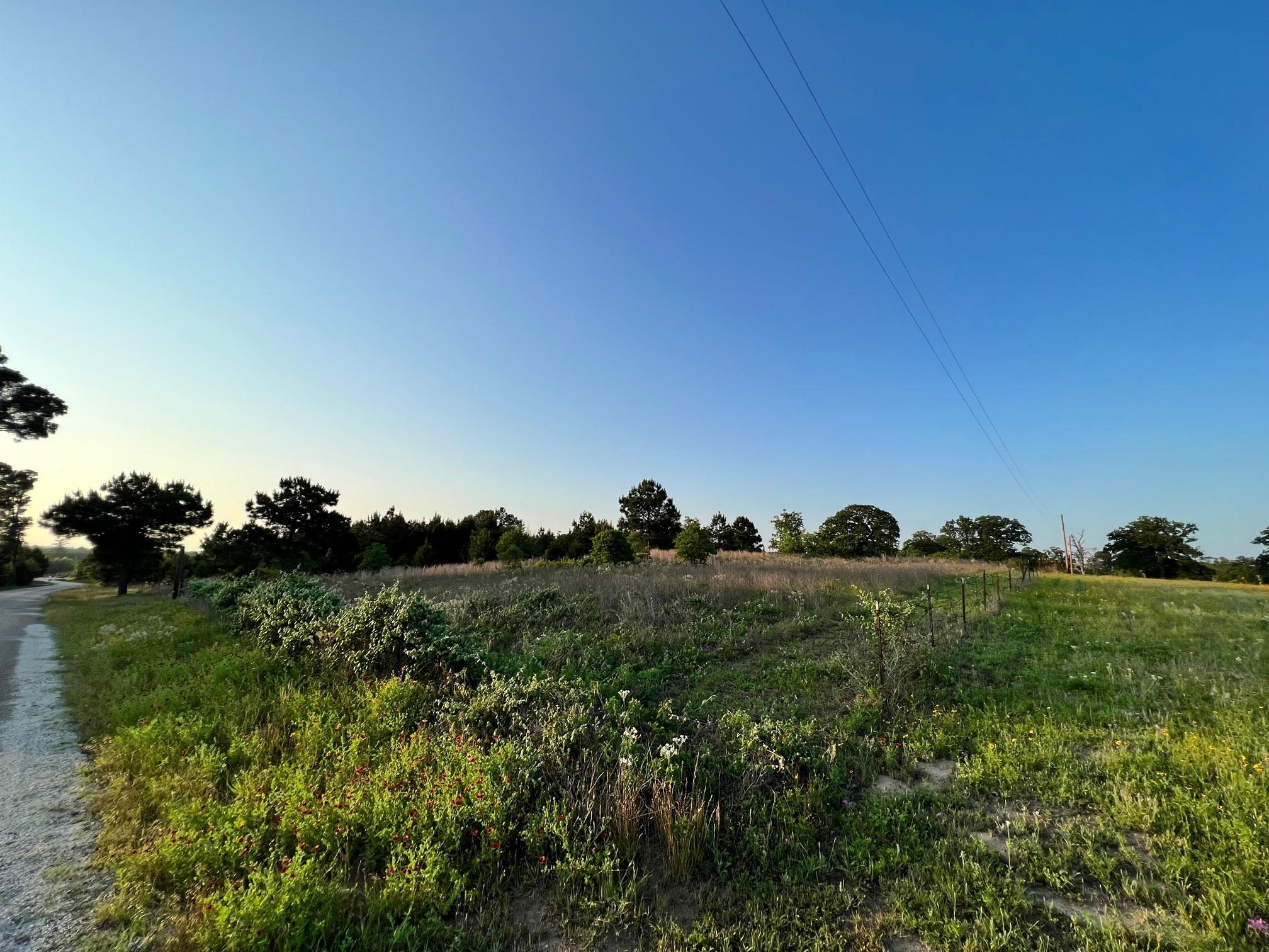 Lot 27 Kinsey Rd None, Paige, TX 78659 — photo 1