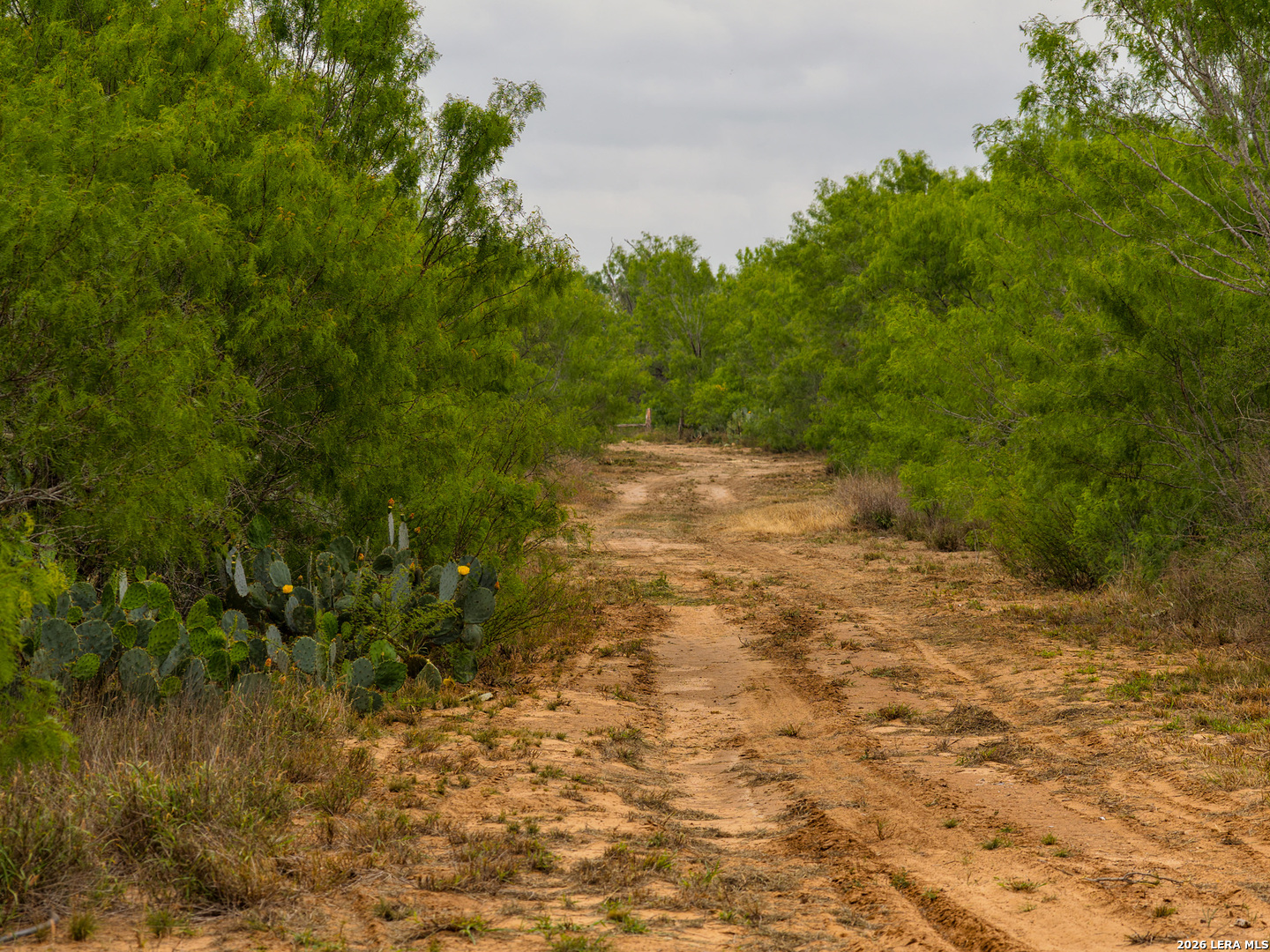 6 FM 1581, Pearsall, TX 78061 — photo 1
