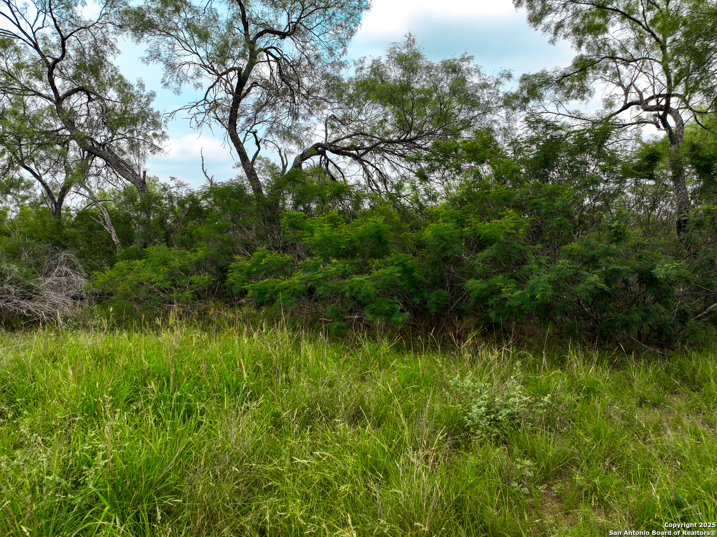 0000 Count Road 5232, Dhanis, TX 78850 — photo 1