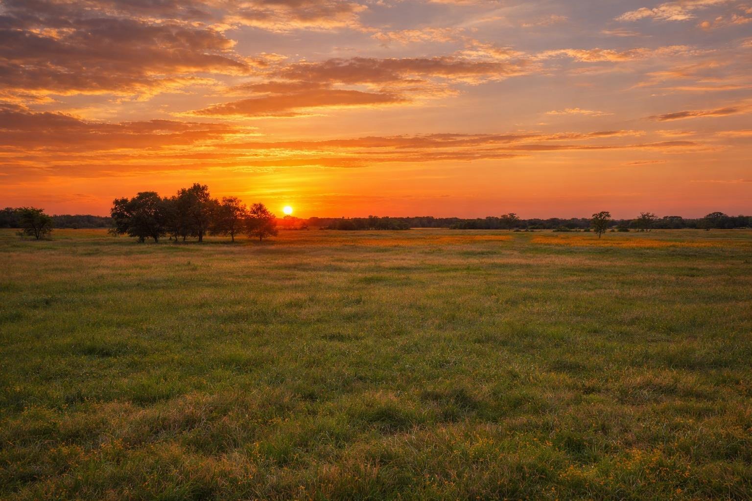 TBD  CR 103 None, Lampasas, TX 76550 — photo 1