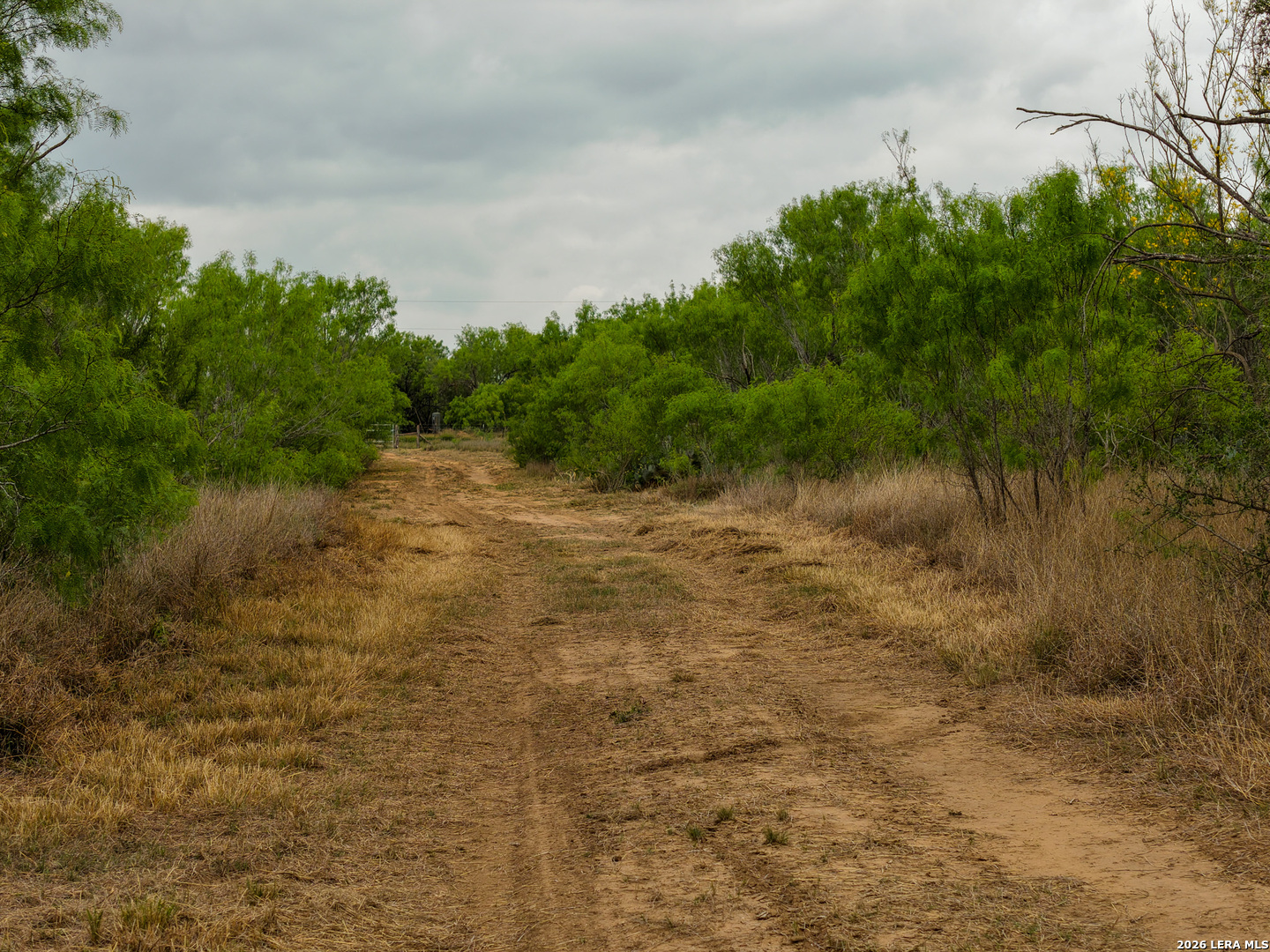 9 FM 1581, Pearsall, TX 78061 — photo 1