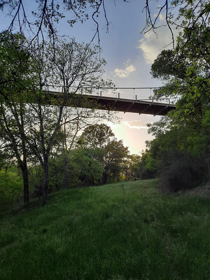 441 County Road 433 None, Mullin, TX 76864 — photo 1
