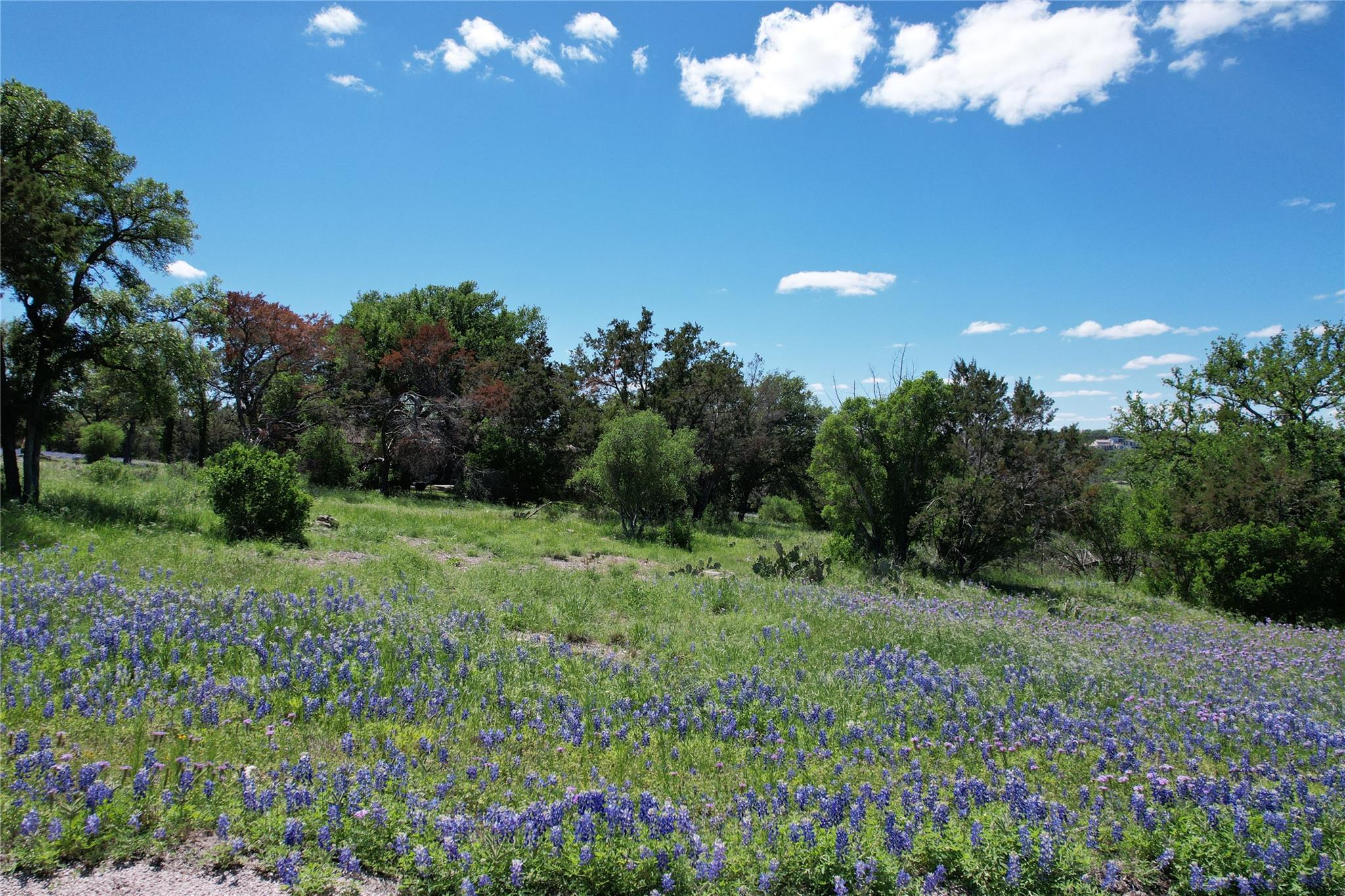 2006  Brazos None, Horseshoe Bay, TX 78657 — photo 1
