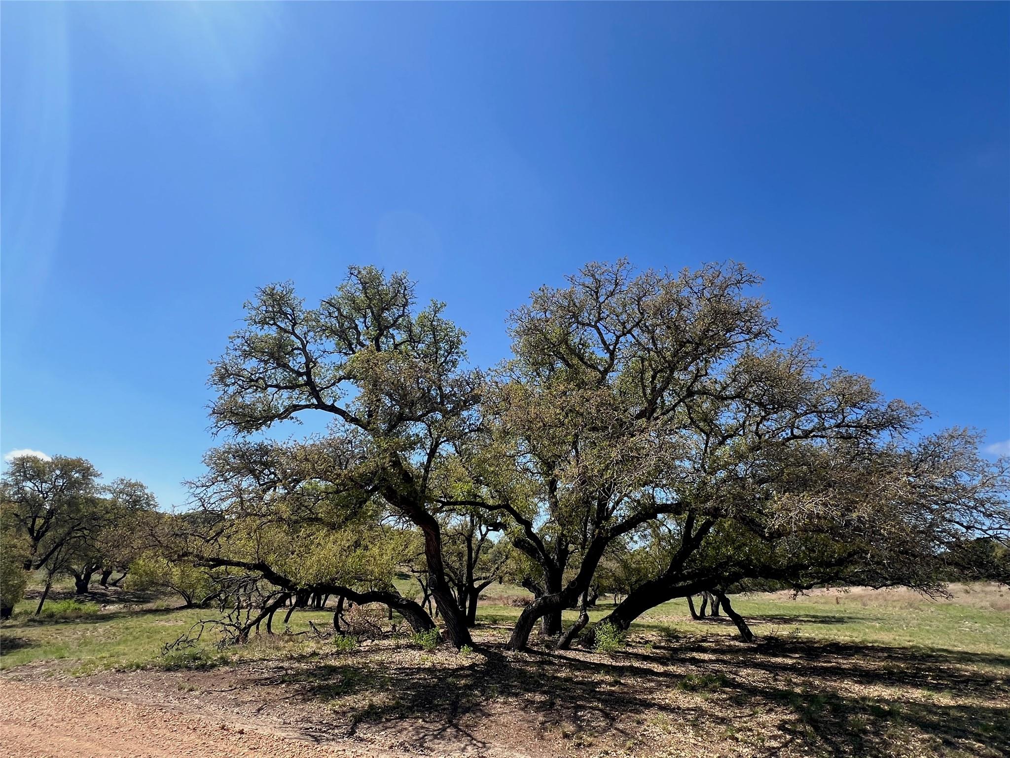 1 Barlow Dr, Briggs, TX 78608 — photo 1