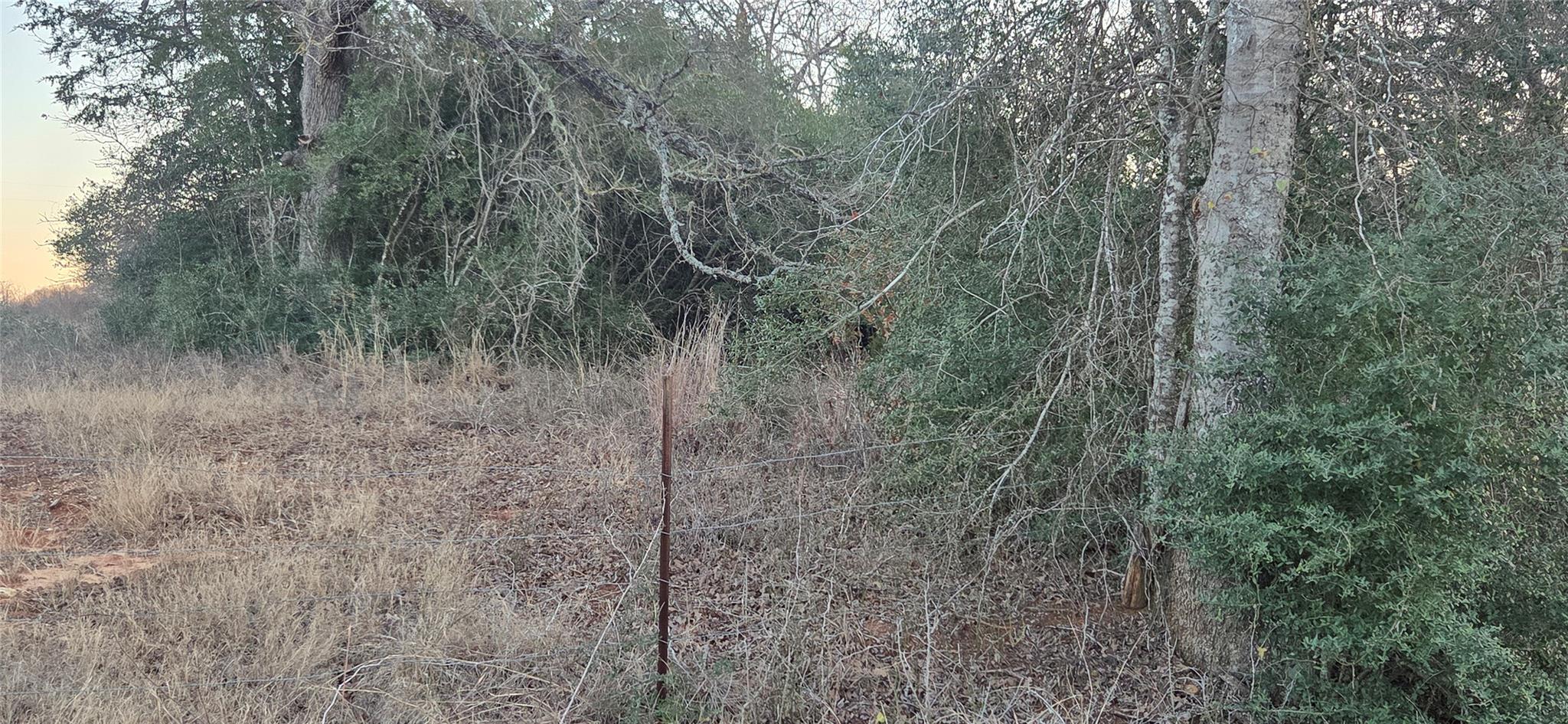 314 County Road Lot 8  TBD Rd, Rockdale, TX 76567 — photo 1