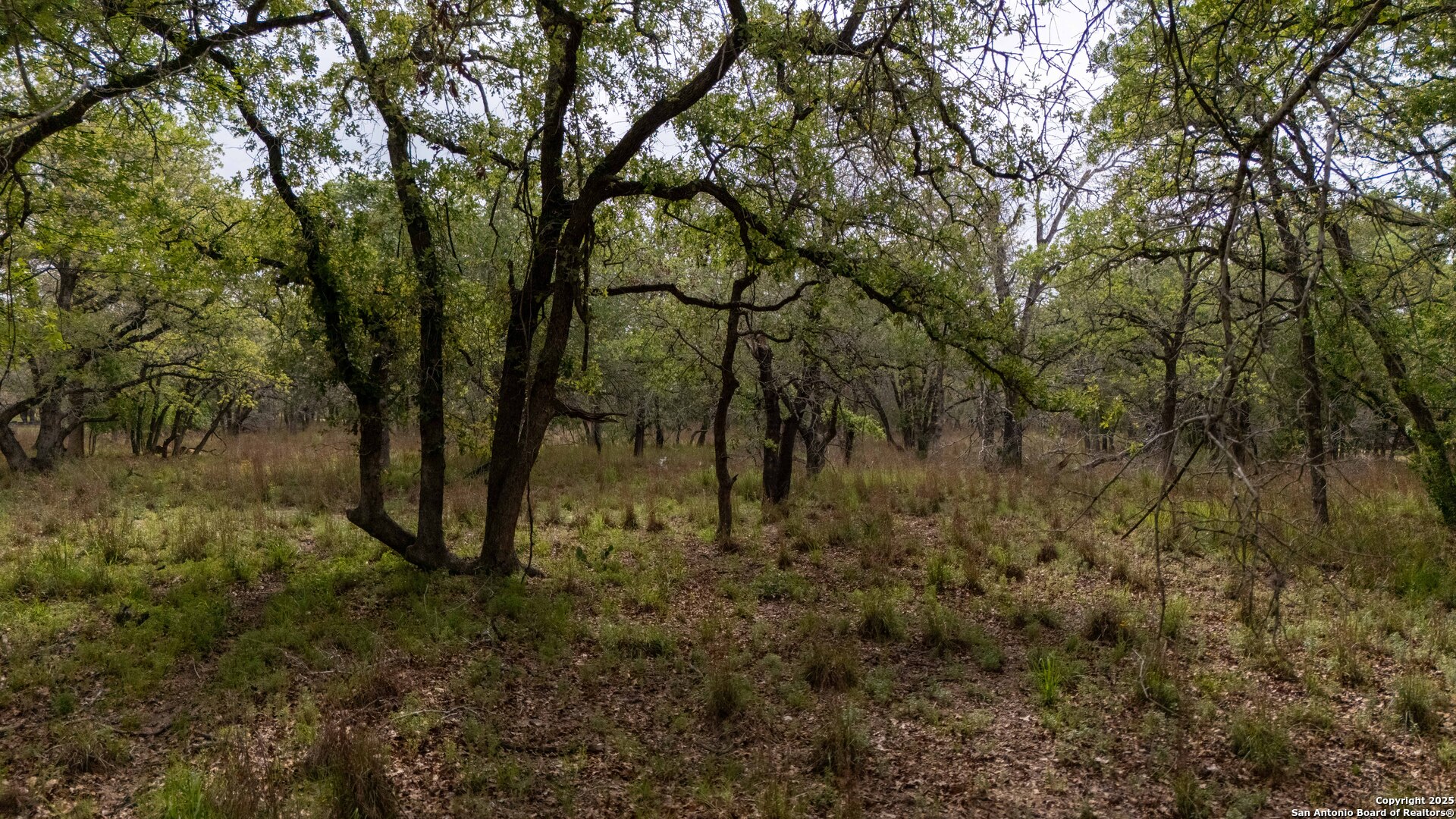 TBD Post Oak, Floresville, TX 78114 — photo 1