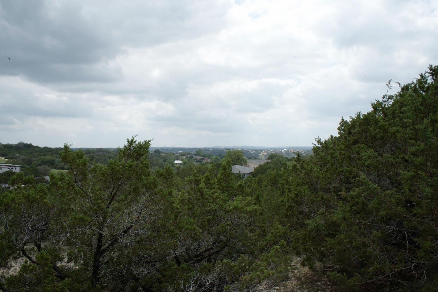 20709  Hayes Cv, Lago Vista, TX 78645 — photo 1