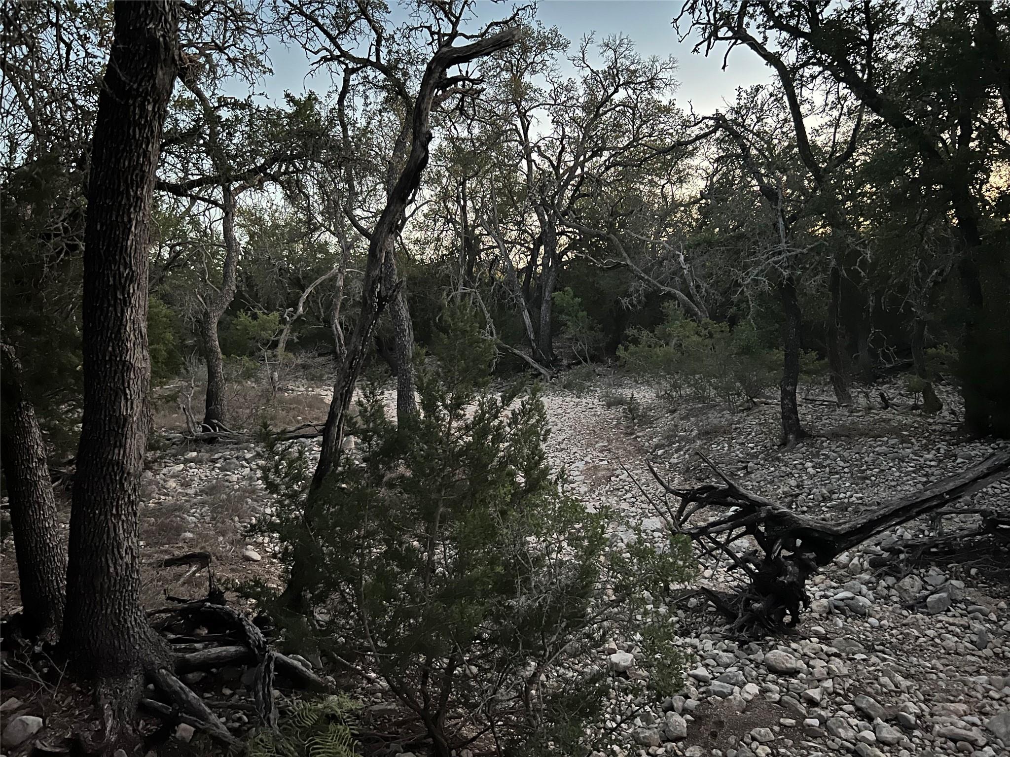 TBD  County Road 450 None, Rocksprings, TX 78880 — photo 1