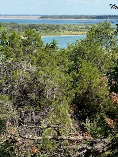 000  Elf Trl, Belton, TX 76513 — photo 1
