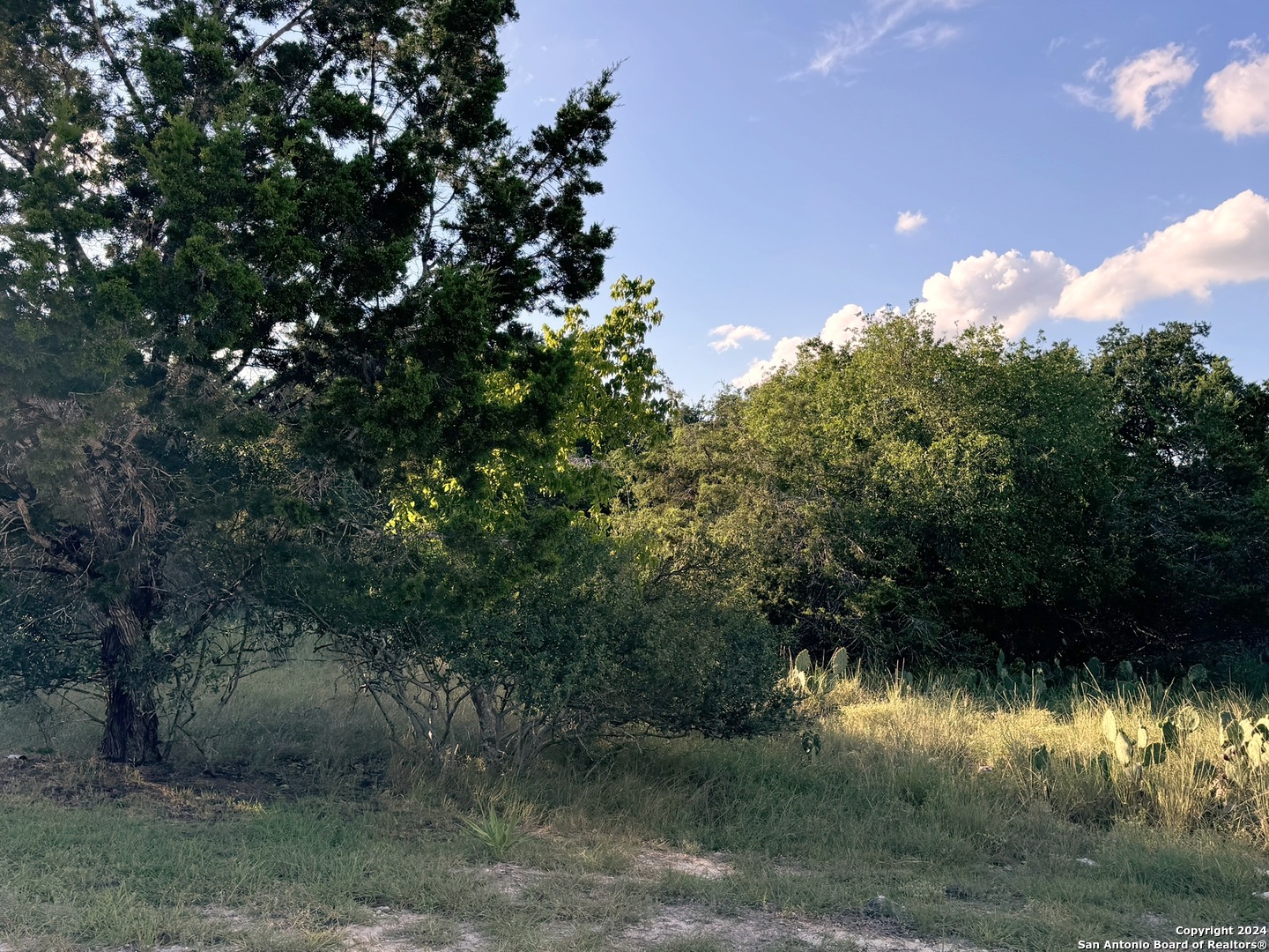 LOT 10 Rocky Point Drive, Spring Branch, TX 78070 — photo 1