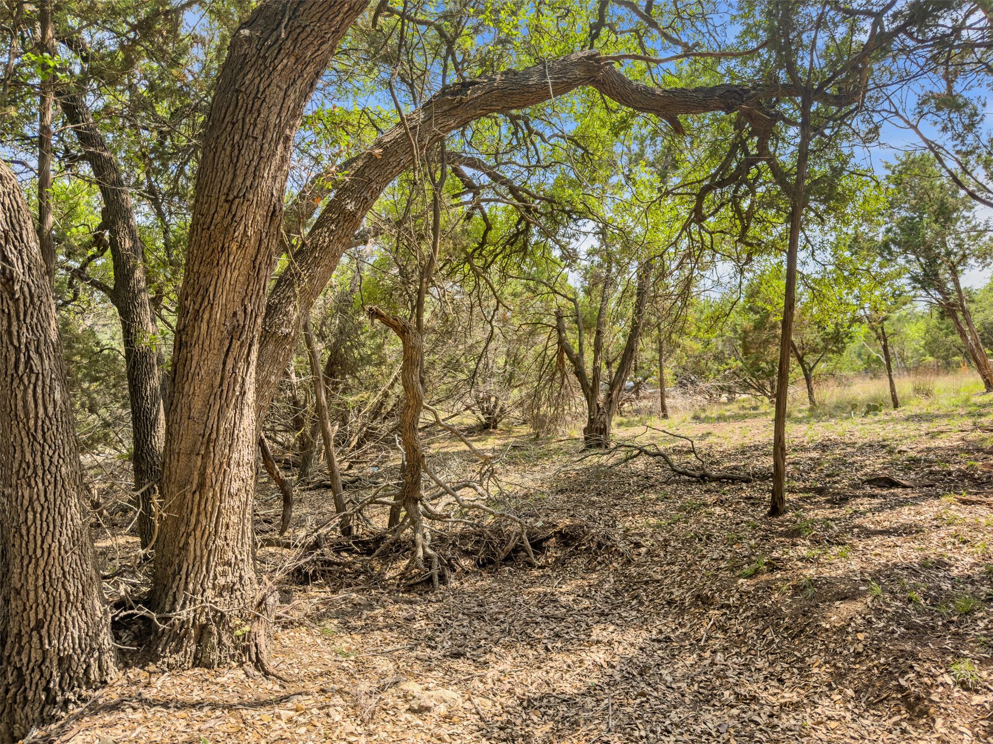 369 Onion Creek Ln, Blanco, TX 78606 — photo 1