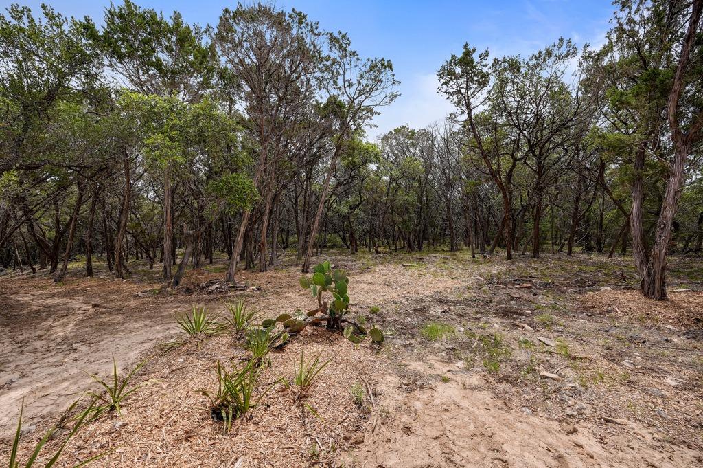 000  Rancho Grande Dr, Wimberley, TX 78676 — photo 1